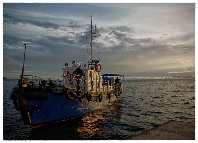 морской волкphoto preview