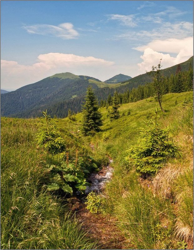 карпаты, мармаросы Карпатская открыткаphoto preview