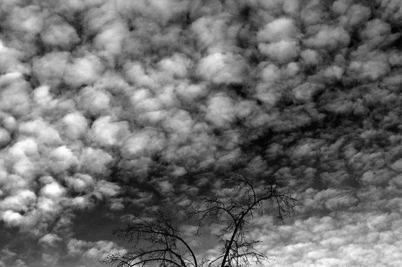 стремнинаphoto preview