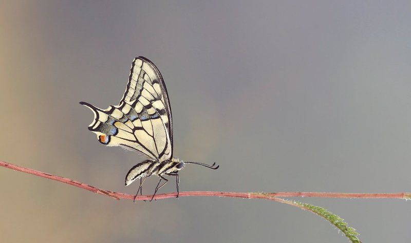 виндсёрфингphoto preview