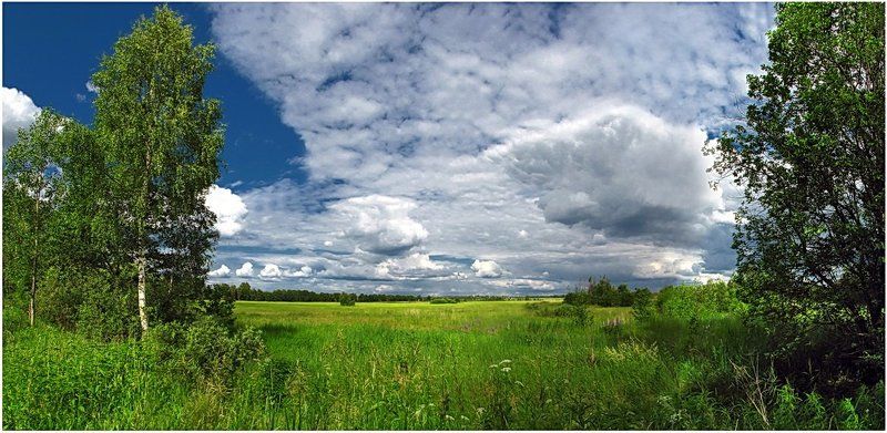 лето, природа, пейзаж, деревня Низкая облачность... фото превью