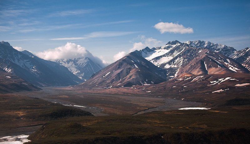 Тундра в июне.photo preview