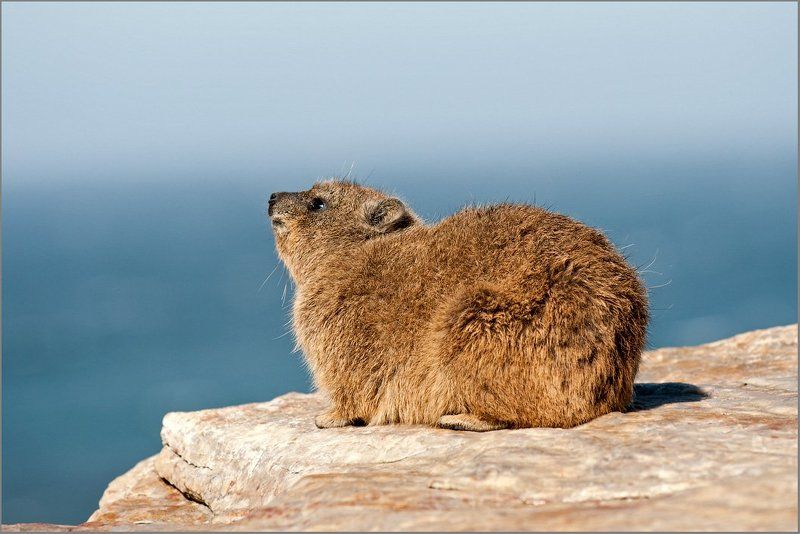 ЮАР, Намибия, Ботсвана май 2011photo preview