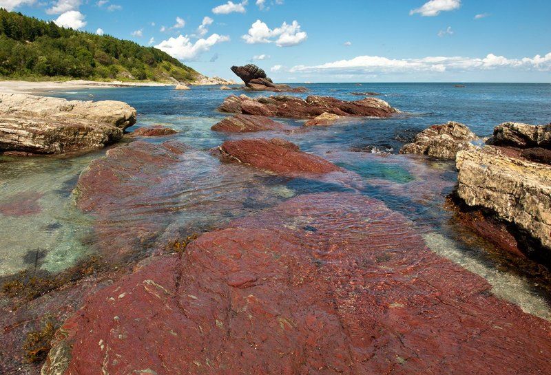 Сентябрь  по-сахалинскиphoto preview