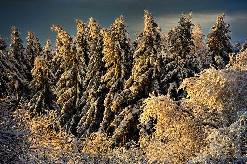 Скоро-скоро... \