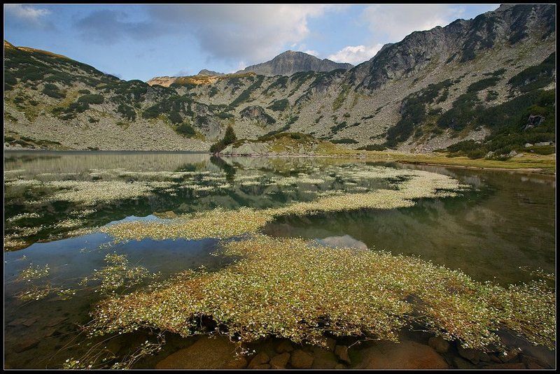 bulgaria , pirin The fish lakephoto preview