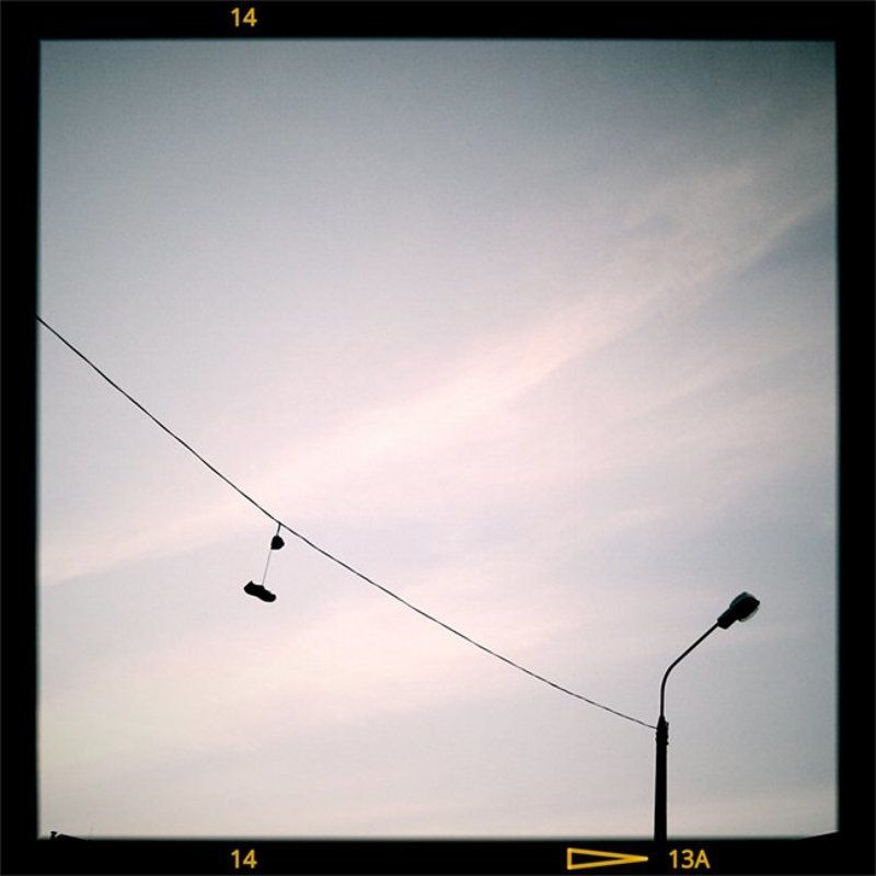 поводокphoto preview