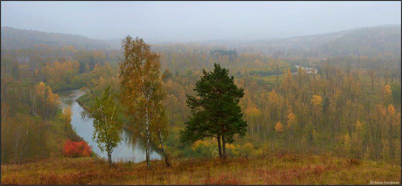 нсо, малиновка, новососедово, бердь, река ,дождь, осень, иванов пуп, салаирский кряж, аня графова Осеннее настроениеphoto preview