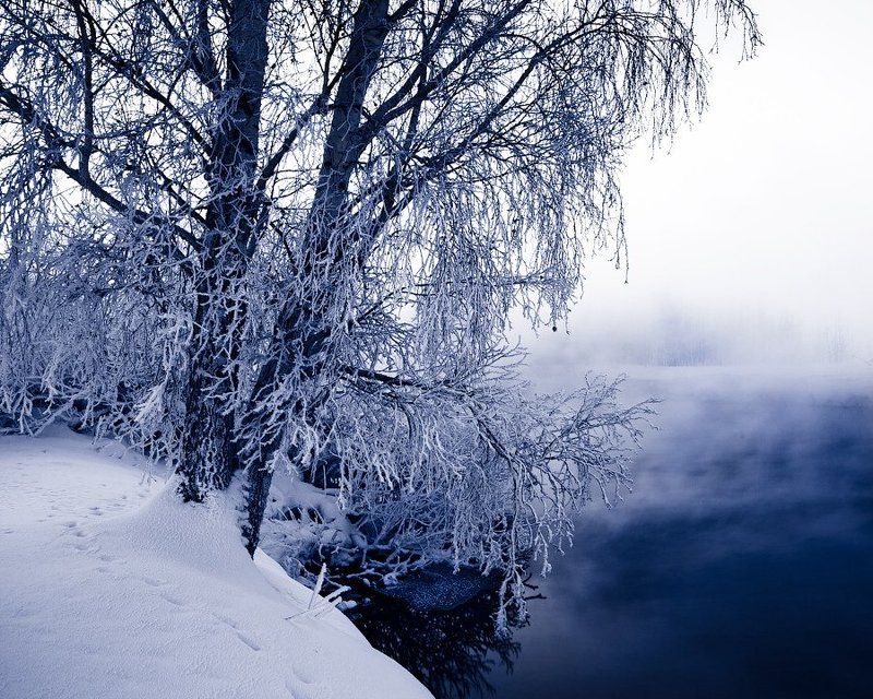 Winter slumberphoto preview