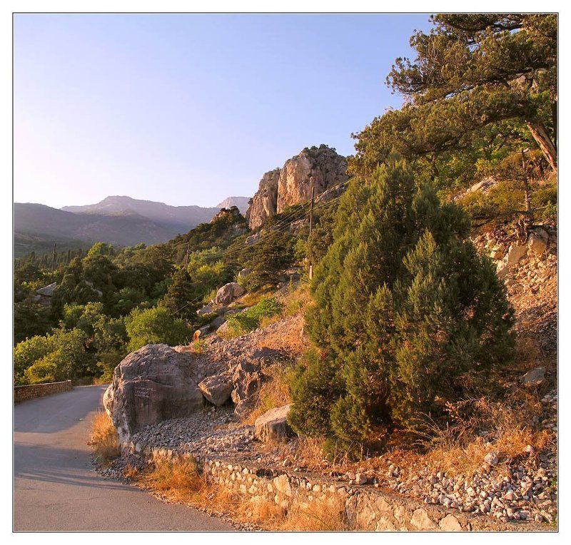 дорога, горы, сосны Крымская обыкновеннаяphoto preview