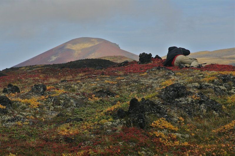 камчатка, осенние краски, осенняя тундра То ли вписался, то ли замаскировалсяphoto preview
