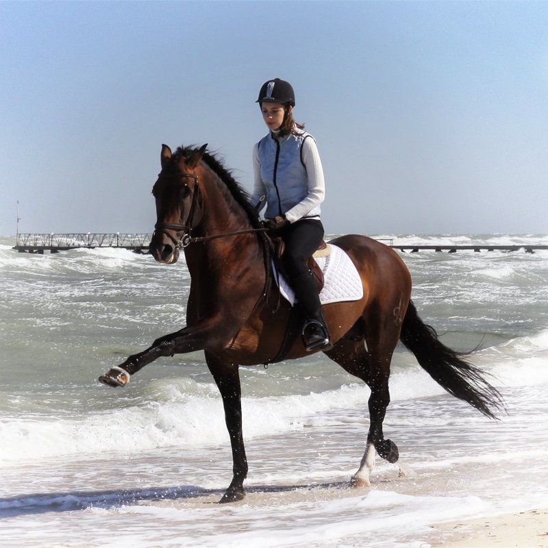 лошади, horse моя настоящая работаphoto preview