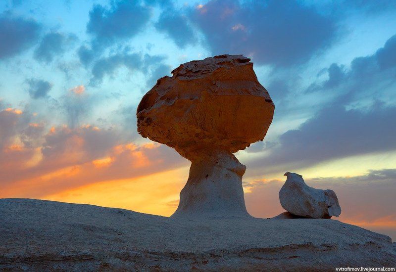 sahara, white desert, egypt, сахара, белая пустыня, египет Chicken & Mushroomphoto preview