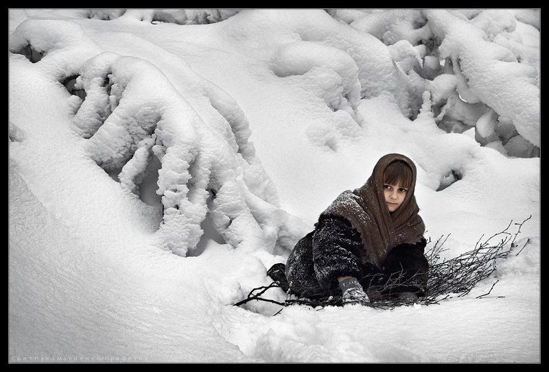 Тихо в лесуphoto preview