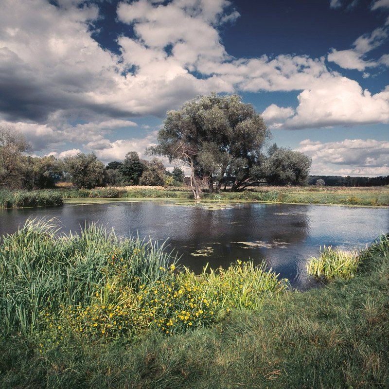 My summer...photo preview