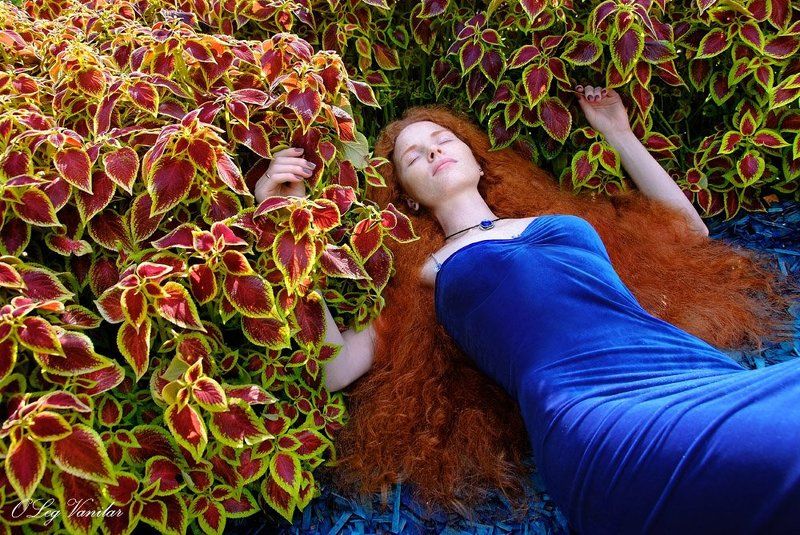 отлетал тёплый день...photo preview