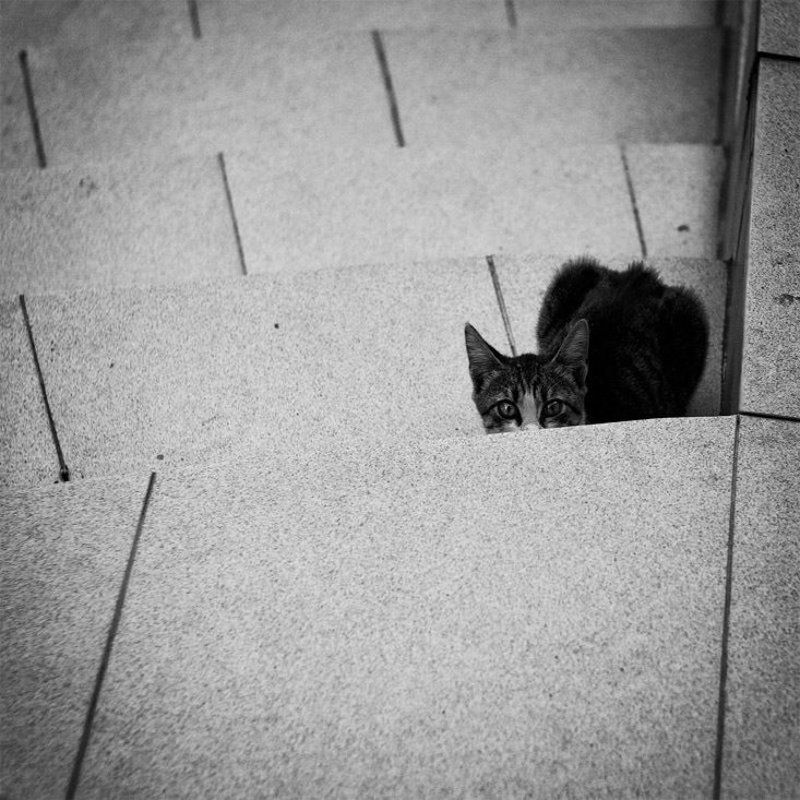 ...... Кто вы?photo preview