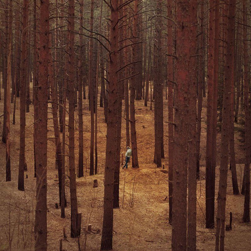 Нет!..photo preview