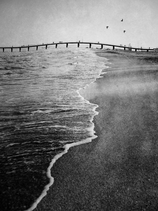 Predictionphoto preview