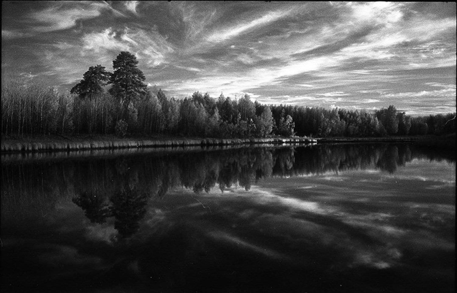 , Игорь Немилостивый