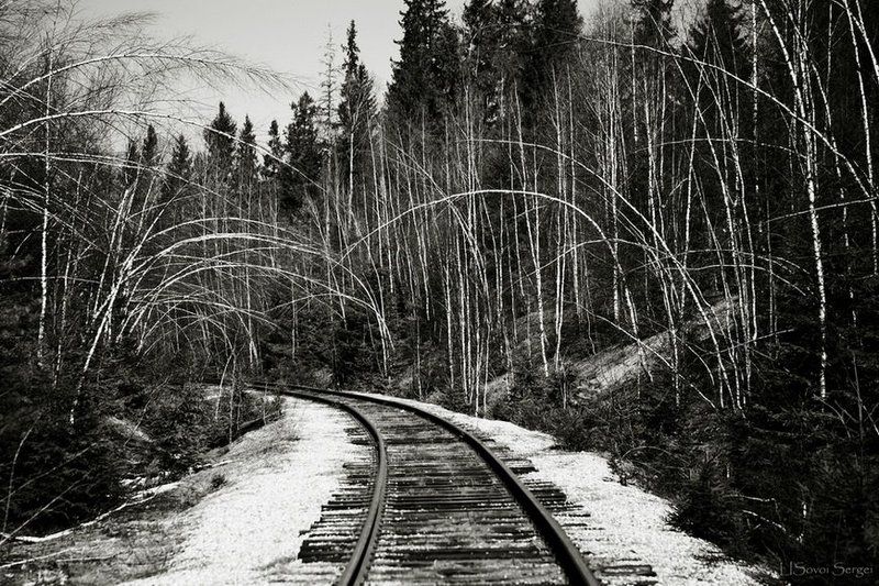 Дорожные ритмыphoto preview