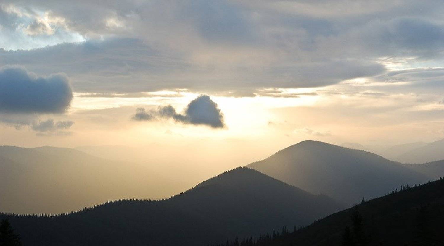 Ліси Ґорґан / Forests of Gorgany. Автор: Я карпати, Я