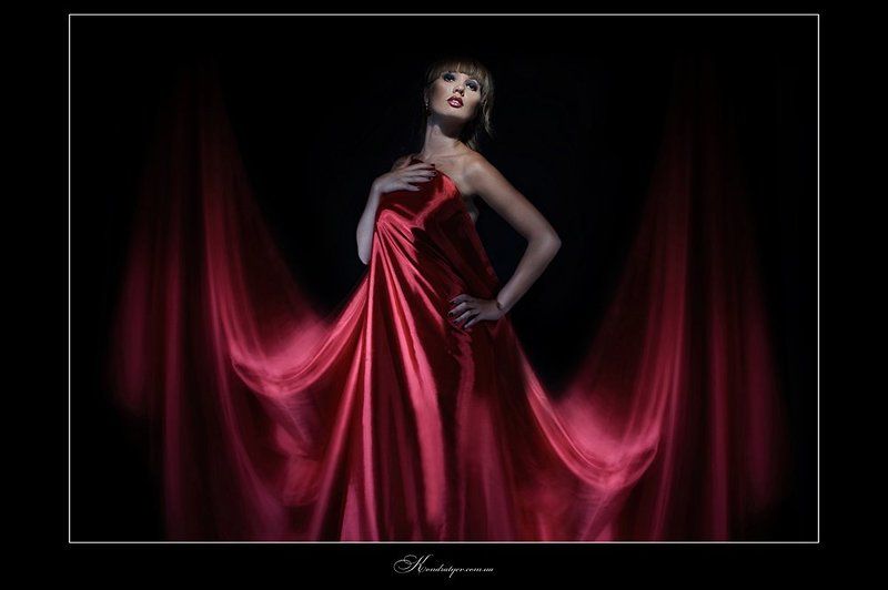 The red wingsphoto preview