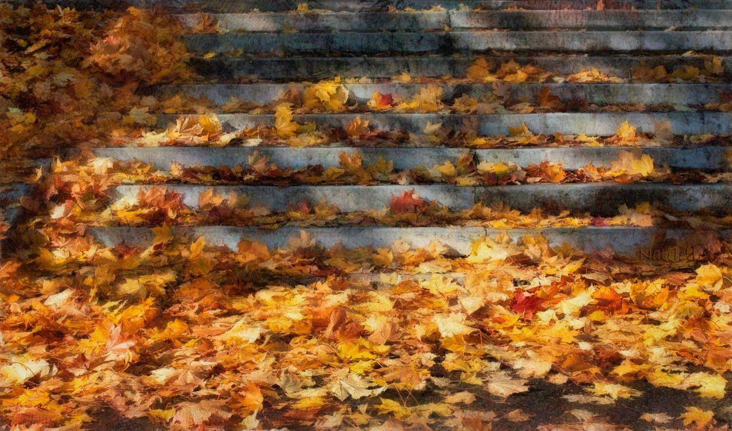По лестнице в осень.... Автор: Наталья Кузнецова (Nateletro) , Наталья Кузнецова (Nateletro)