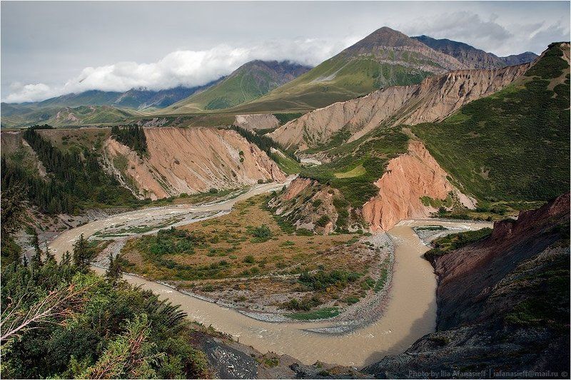 фотосафари, киргизия Киргизия в августе семьphoto preview