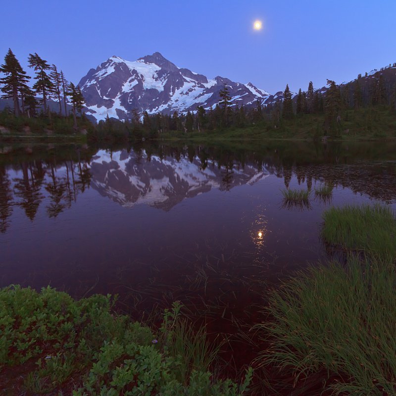 The Best Place on Earthphoto preview