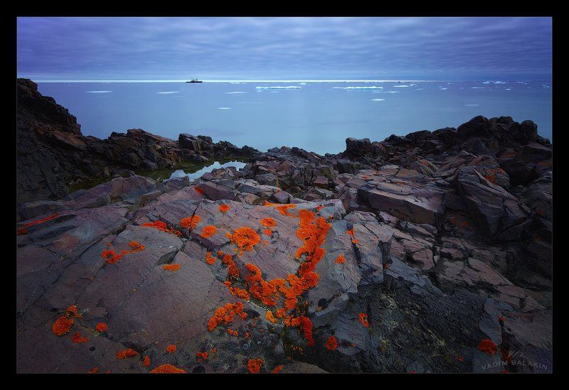 мыс тегеттхоф, остров галля, земля франца-иосифа, северный ледовитый океан Мыс Тегеттхофphoto preview