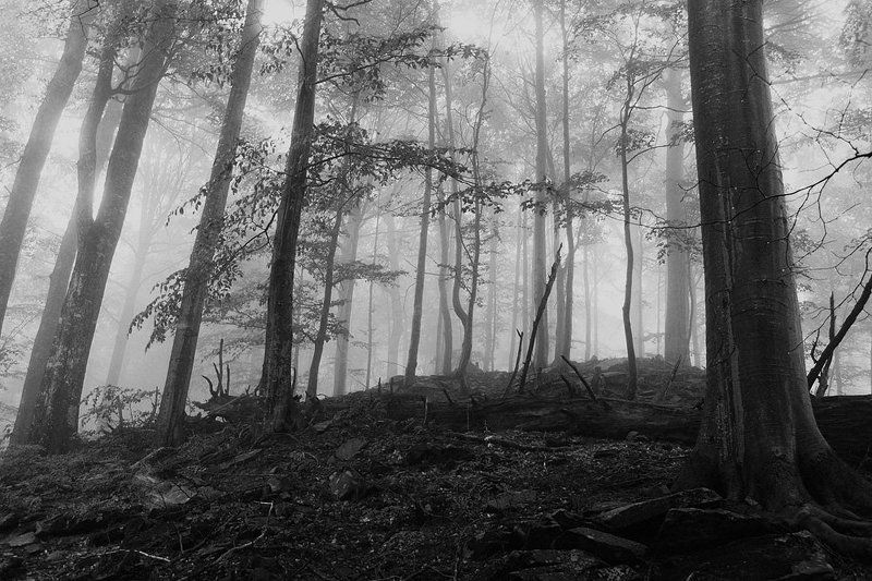 ... фото превью