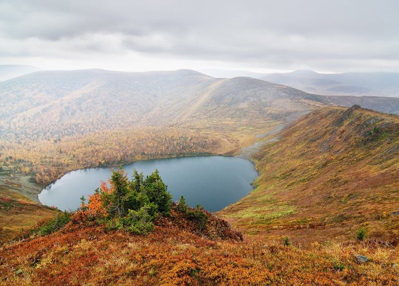 Приближение дождяphoto preview