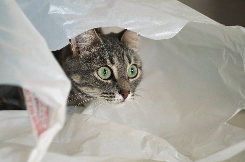 Кругом врагиphoto preview