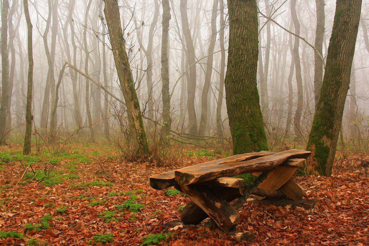 Осенние бродилки. Автор: Михаил Пилипенко , Михаил Пилипенко