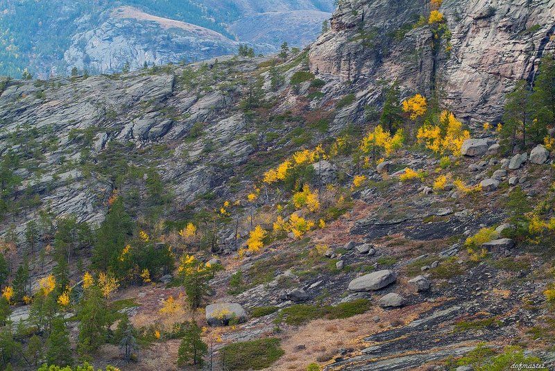 Кентские фотозарисовкиphoto preview