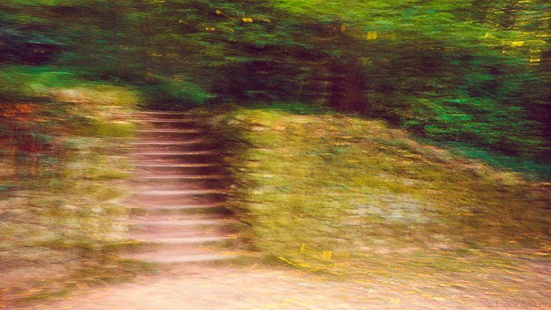 ломография, пейзаж, португалия, бусаку, лес, дворец \