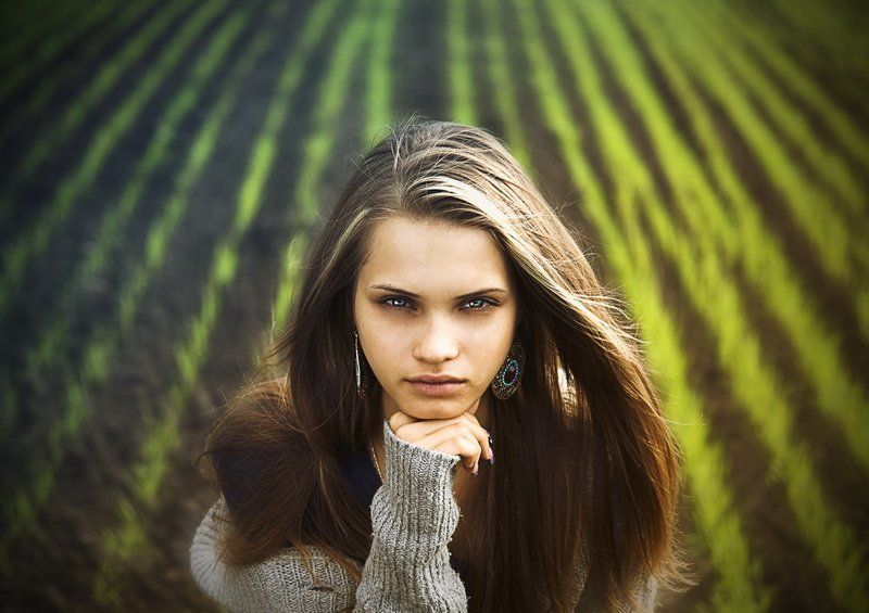 Stripesphoto preview