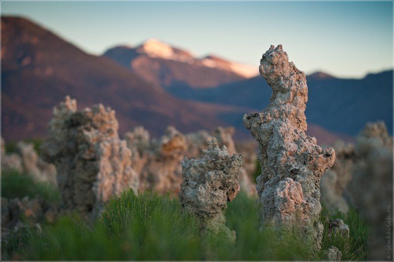 mono, lake Портрет Туфы на восходе :)photo preview