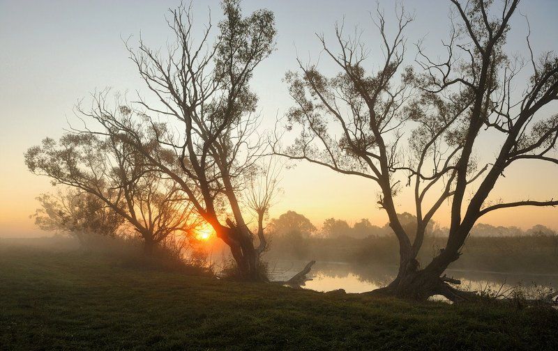 Встреча...photo preview