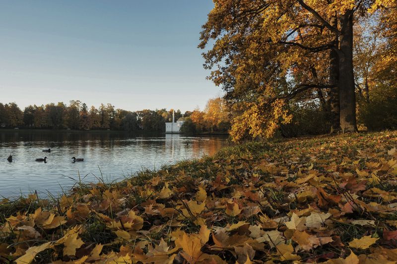 Утро в Пушкинеphoto preview