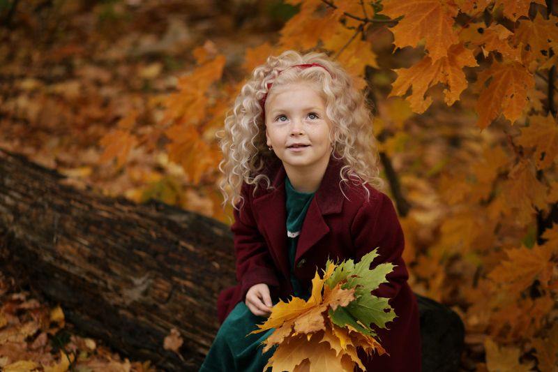 Золотая осеньphoto preview