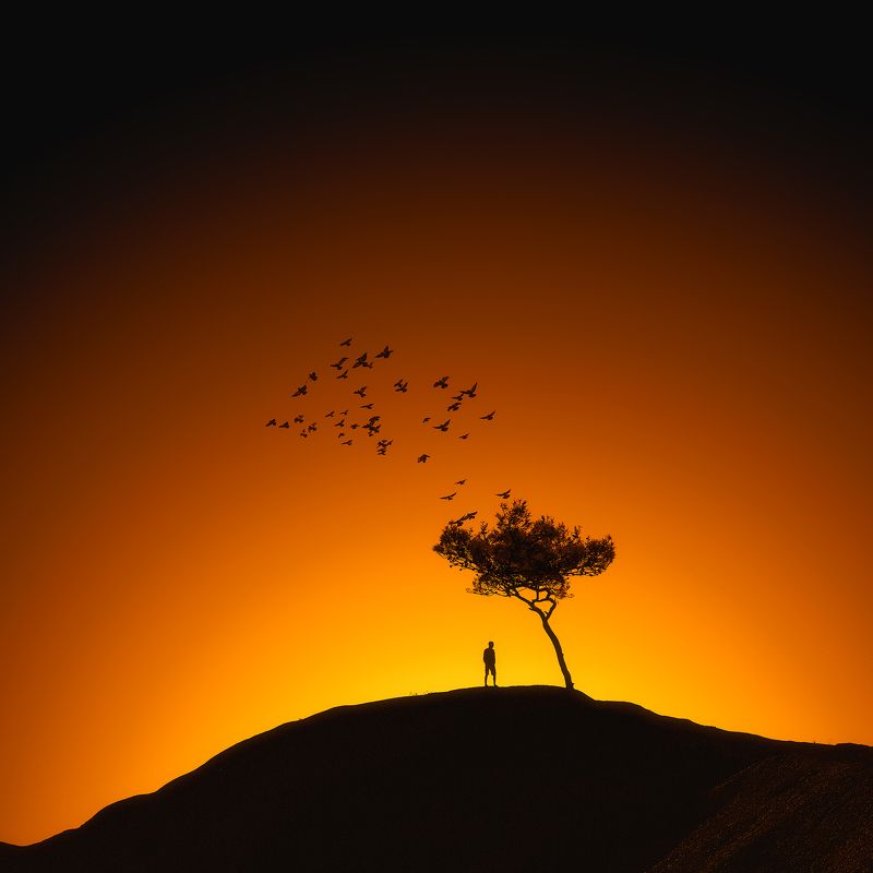 What\'s next?photo preview