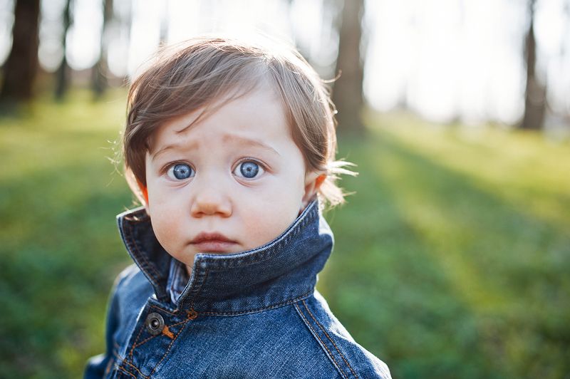 Василекphoto preview