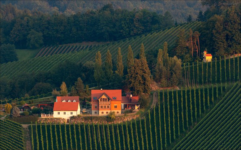 лето,свет,часовня,штирия,гамлитц,австрия,gamlitz- sernau,landscape,панорама. Летний этюдphoto preview