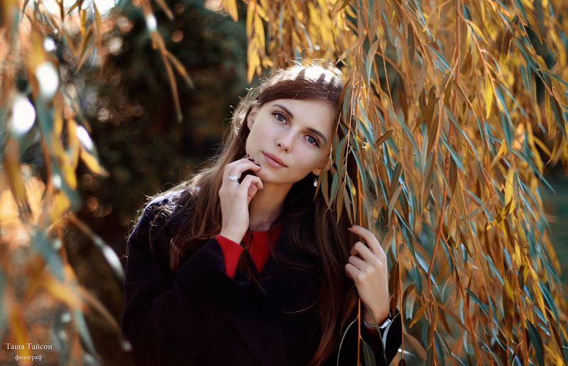 Викаphoto preview