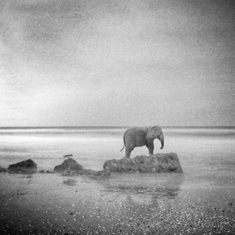 #hosseinmehrzad #myfeatureshoot #friendsinperson #حسین_مهرزاد #theweekoninstagram #everybodystreet #everydayeverywhere #persianlikes #hartcollective #reportagespotlight #uspiran #lensculturetalent #heatercentral #phroommagazine #friendsinperson #streetpho elephentshipphoto preview