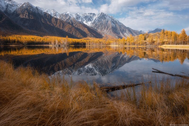 пейзаж, осень, лес, свет, желтый, алтай, озеро, отражение, горы На осеннем берегу фото превью