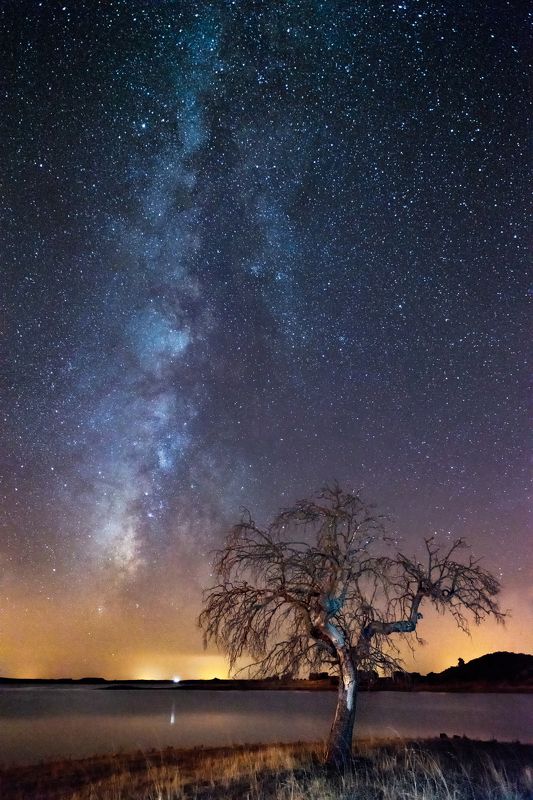 milky way,night,long exposure,lake,Portugal,photo hunter alone treephoto preview