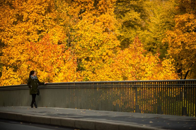 осень, санктпетербург Осень в Петербургеphoto preview
